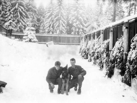 Foto 100